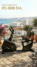 VÉLO SEMI-ALLONGÉ Greenwich R – Image 6