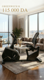 VÉLO SEMI-ALLONGÉ Greenwich R – Image 2